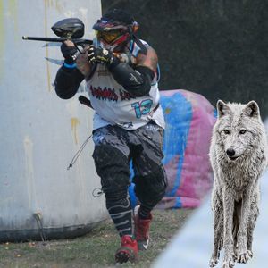 Meet your Posher, Sincero